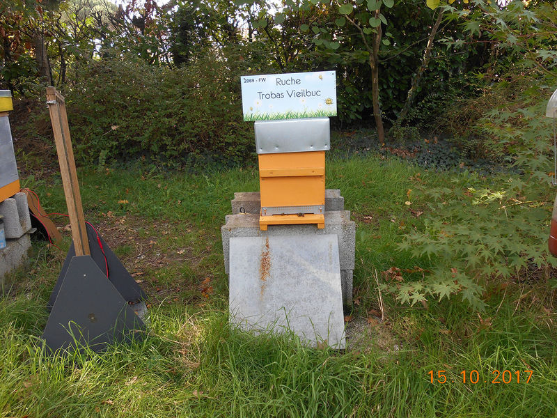 La ruche Trobas Vieilbuc